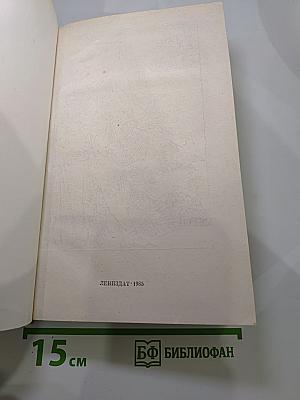 Фаворит. Том II