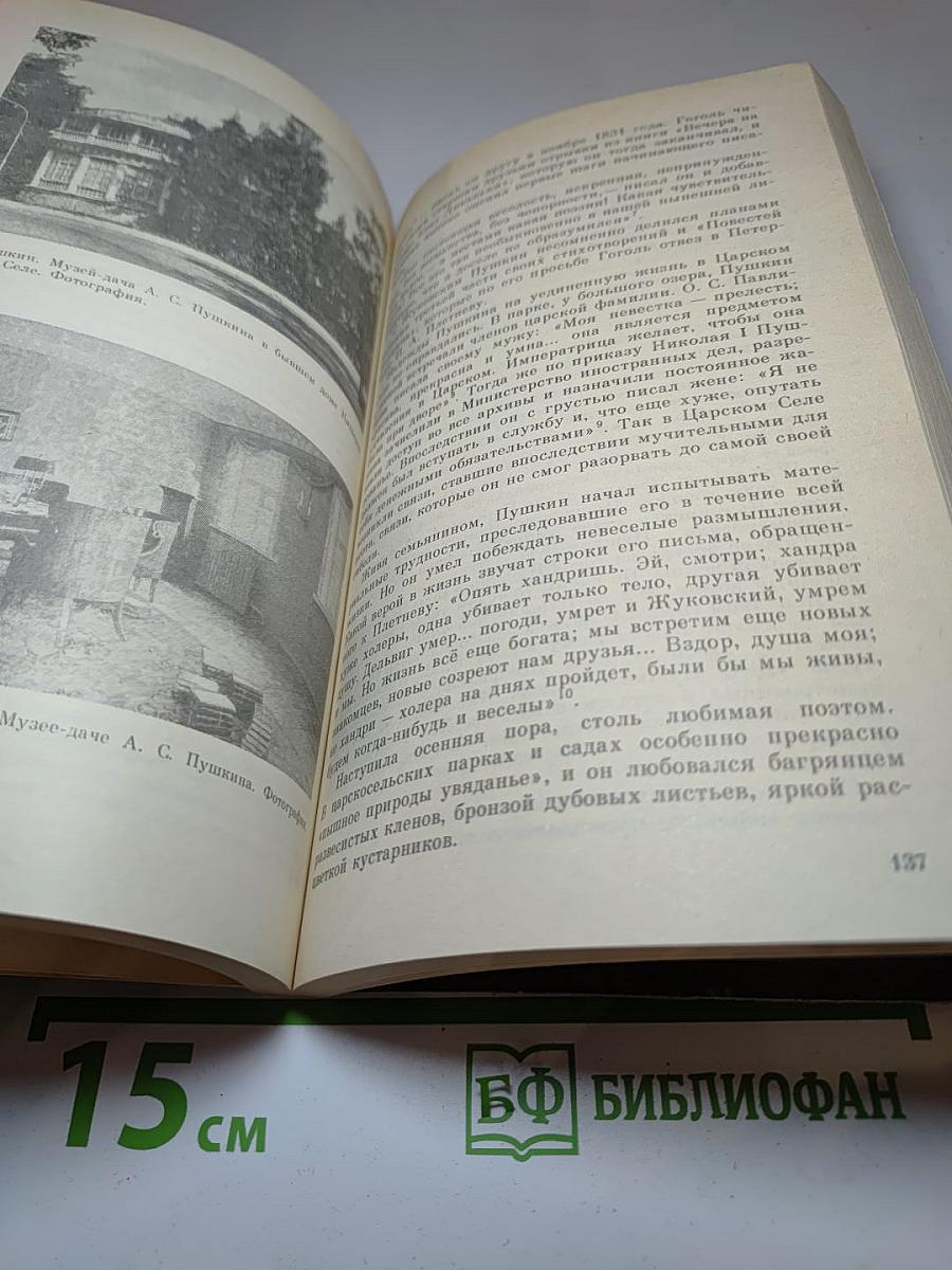 Люблю тебя, Петра творенье... Пушкинские места Ленинграда
