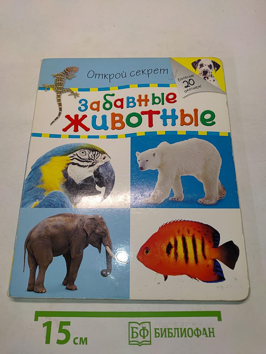 Забавные животные