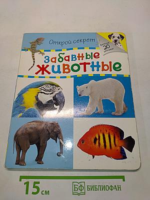 Забавные животные