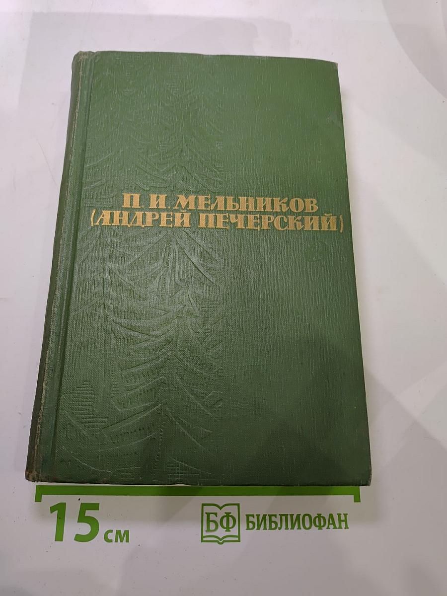 В лесах. Книга первая