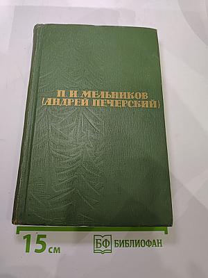 В лесах. Книга первая