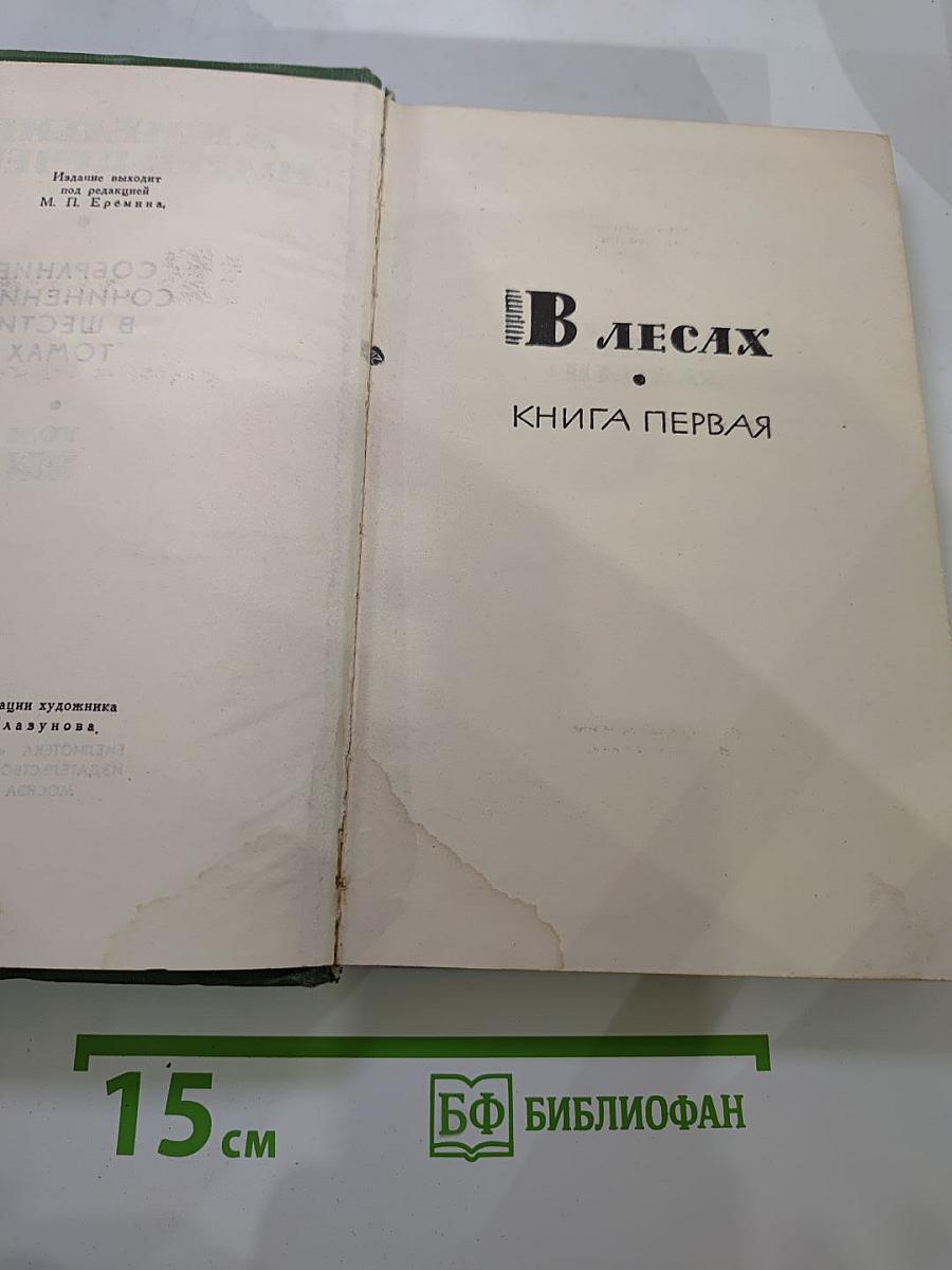 В лесах. Книга первая