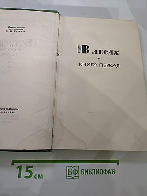 В лесах. Книга первая