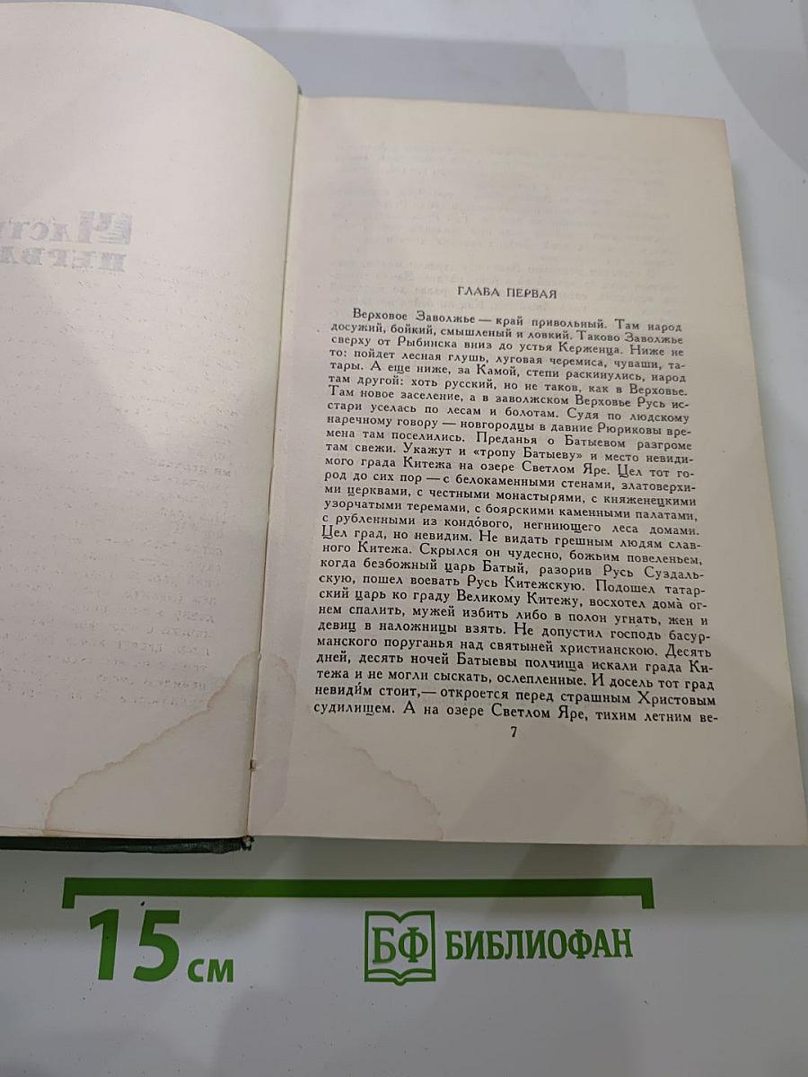 В лесах. Книга первая