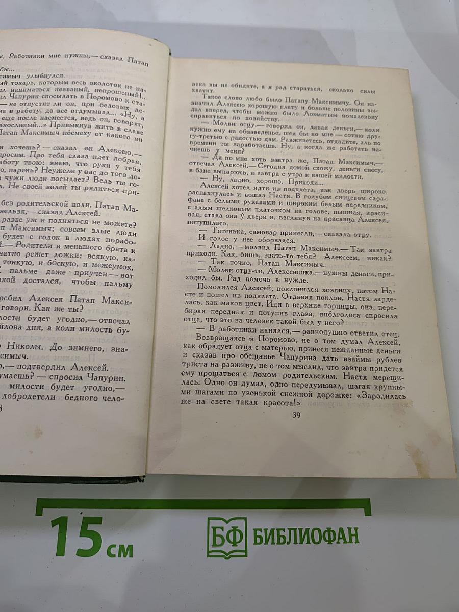 В лесах. Книга первая