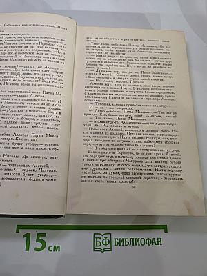 В лесах. Книга первая