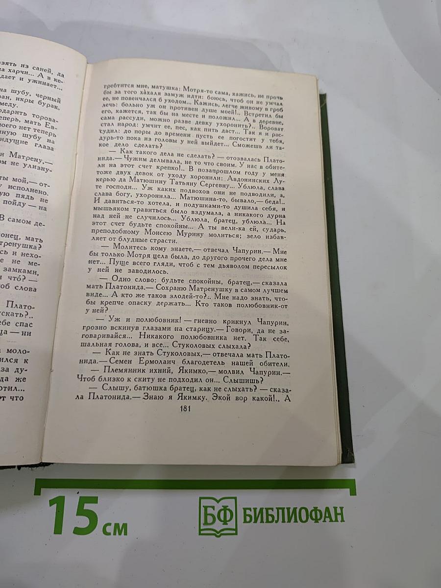В лесах. Книга первая