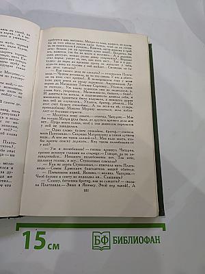 В лесах. Книга первая