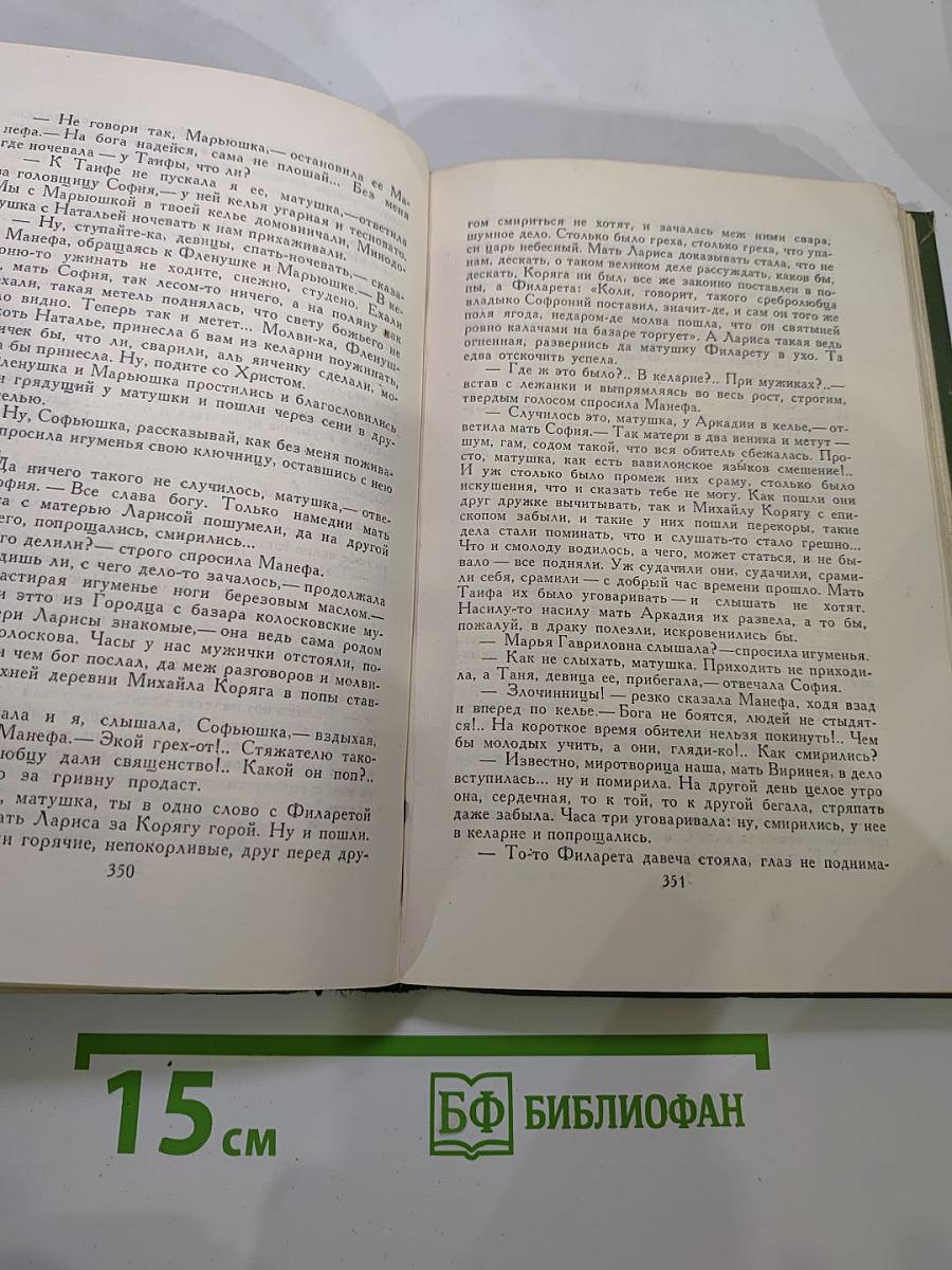 В лесах. Книга первая