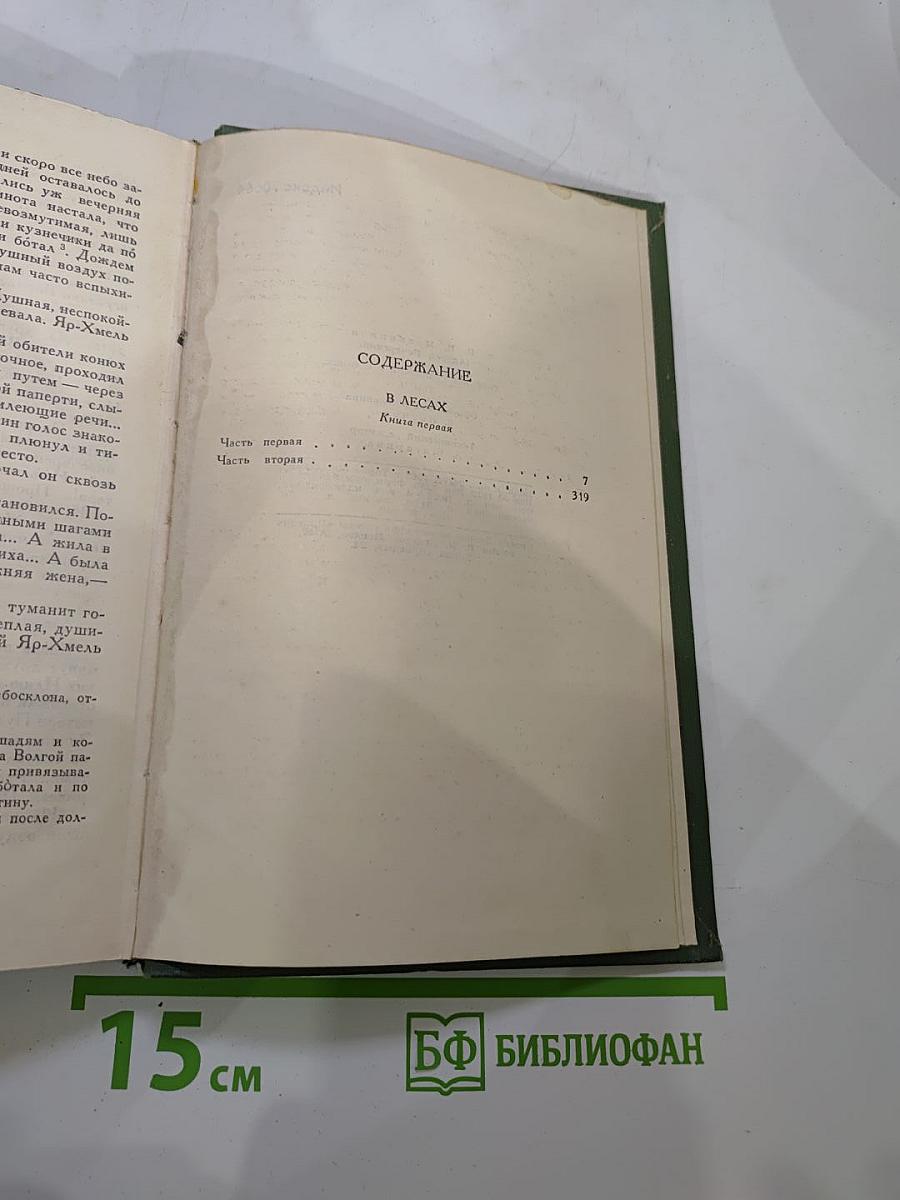 В лесах. Книга первая