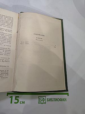 В лесах. Книга первая