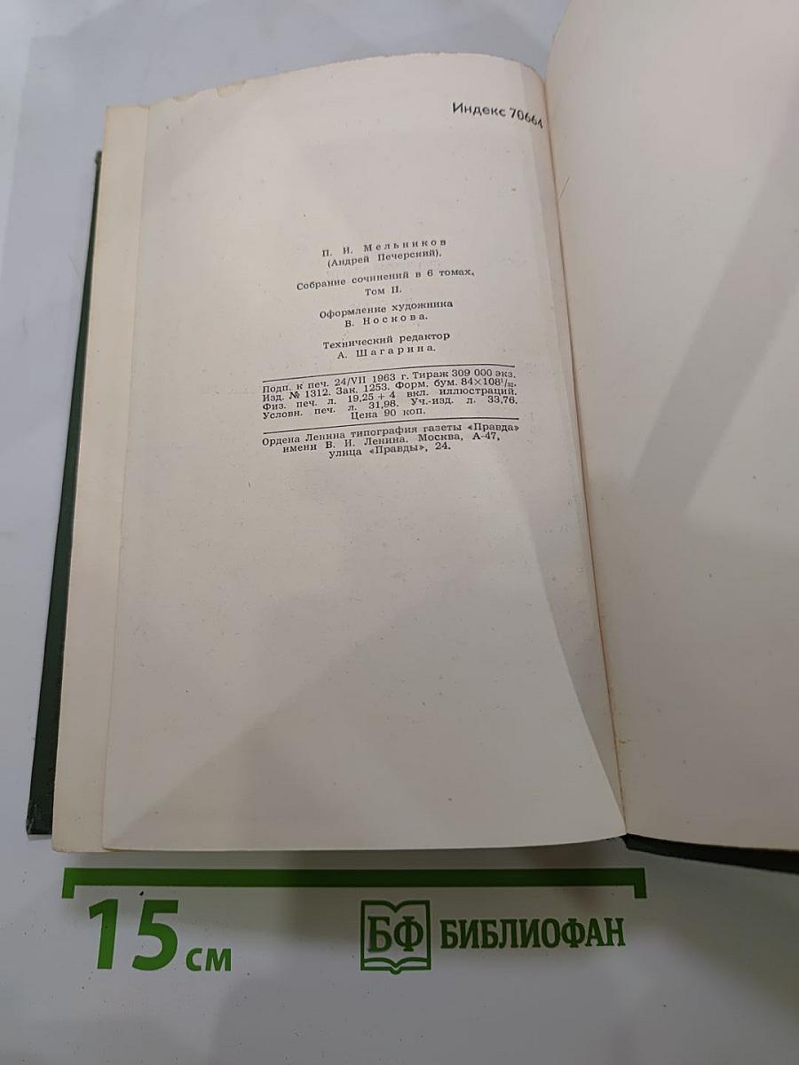 В лесах. Книга первая