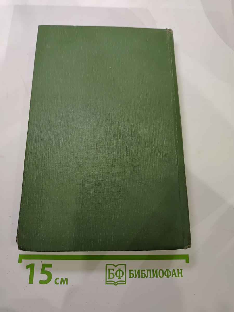 В лесах. Книга первая