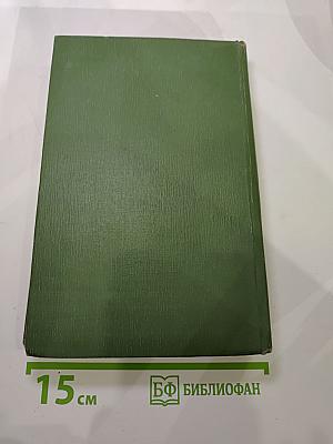 В лесах. Книга первая