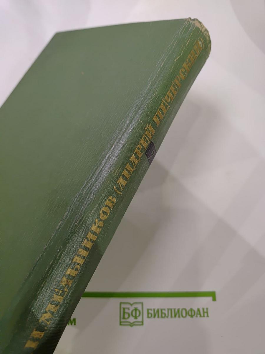 В лесах. Книга первая