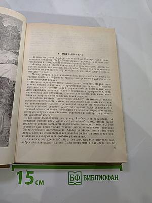 Граф Монте-Кристо Том 2