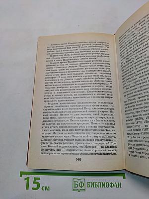 История русской культуры. XIX век