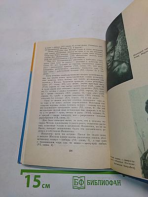 Приключения одной теории