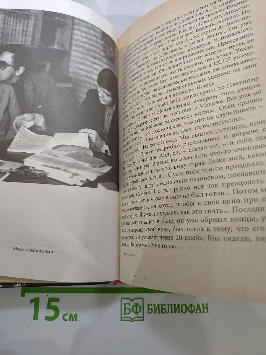 Низкие истины