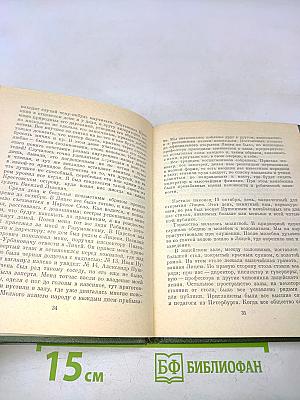 Записки о Пушкине. Письма