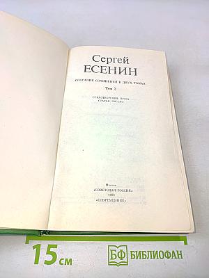 Собрание сочинений в двух томах. Том 2. Стихотворения, проза, статьи, письма