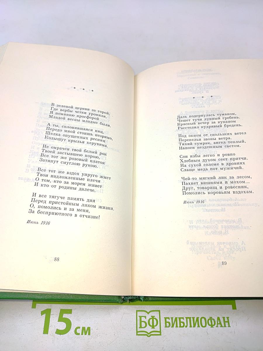 Собрание сочинений в двух томах. Том 2. Стихотворения, проза, статьи, письма