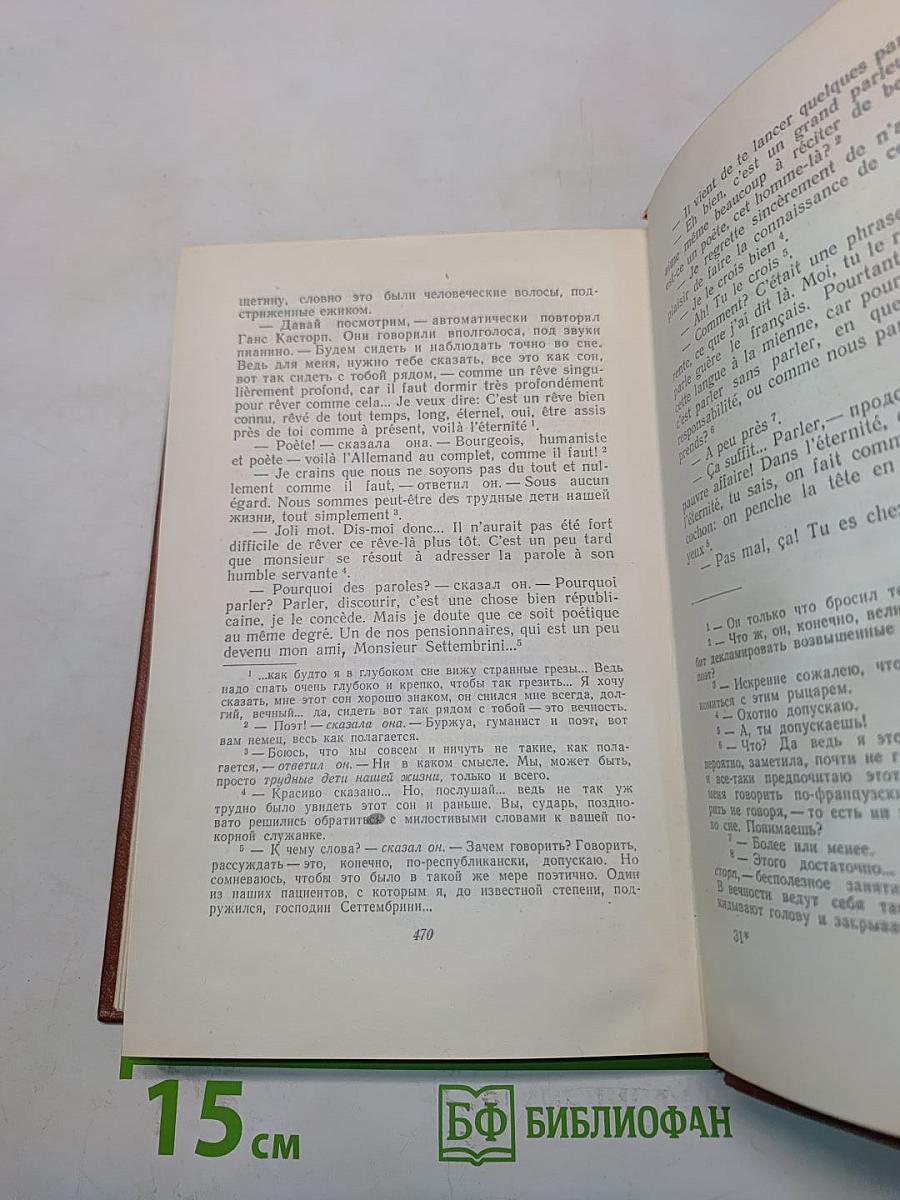 Собрание сочинений. Том третий. Волшебная гора