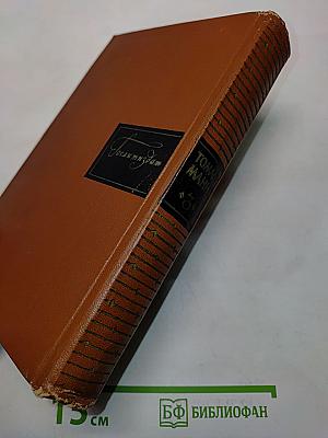 Собрание сочинений. Том третий. Волшебная гора