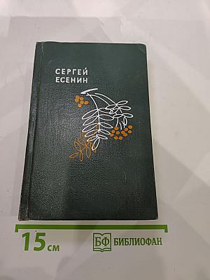 Словесных рек кипение и шорох: Стихи и поэмы