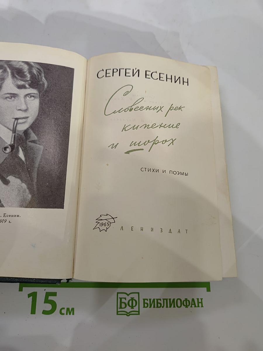 Словесных рек кипение и шорох: Стихи и поэмы