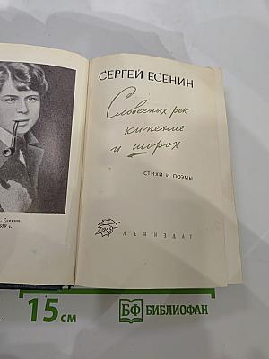 Словесных рек кипение и шорох: Стихи и поэмы