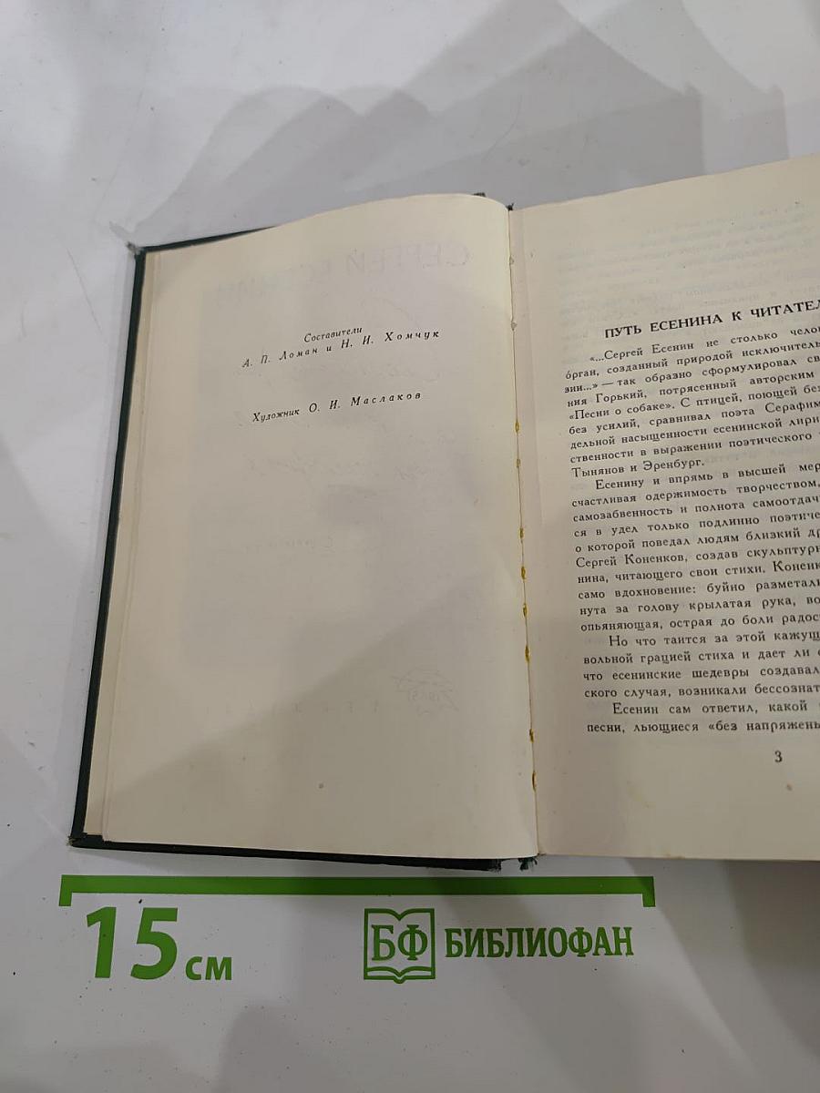 Словесных рек кипение и шорох: Стихи и поэмы