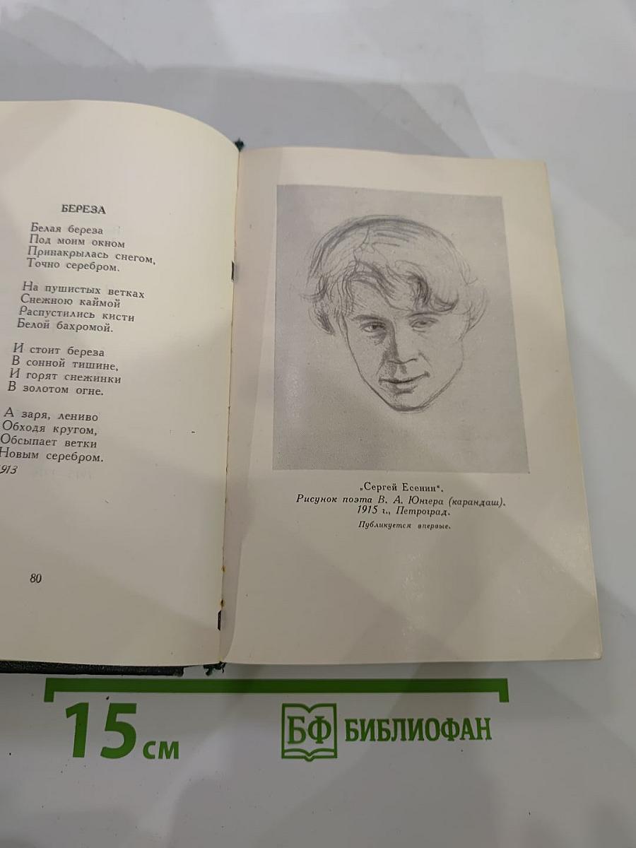 Словесных рек кипение и шорох: Стихи и поэмы