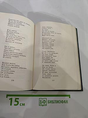 Словесных рек кипение и шорох: Стихи и поэмы