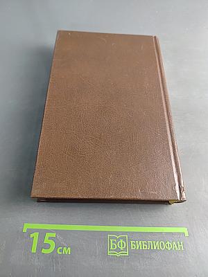 Бухарин. Политическая биография 1888-1938
