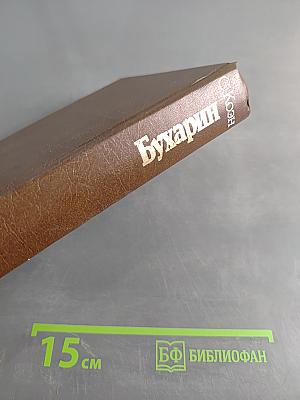 Бухарин. Политическая биография 1888-1938