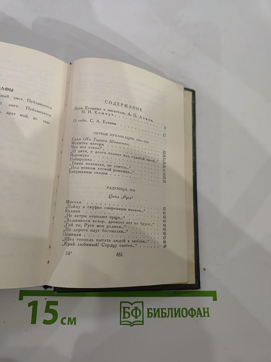 Словесных рек кипение и шорох: Стихи и поэмы