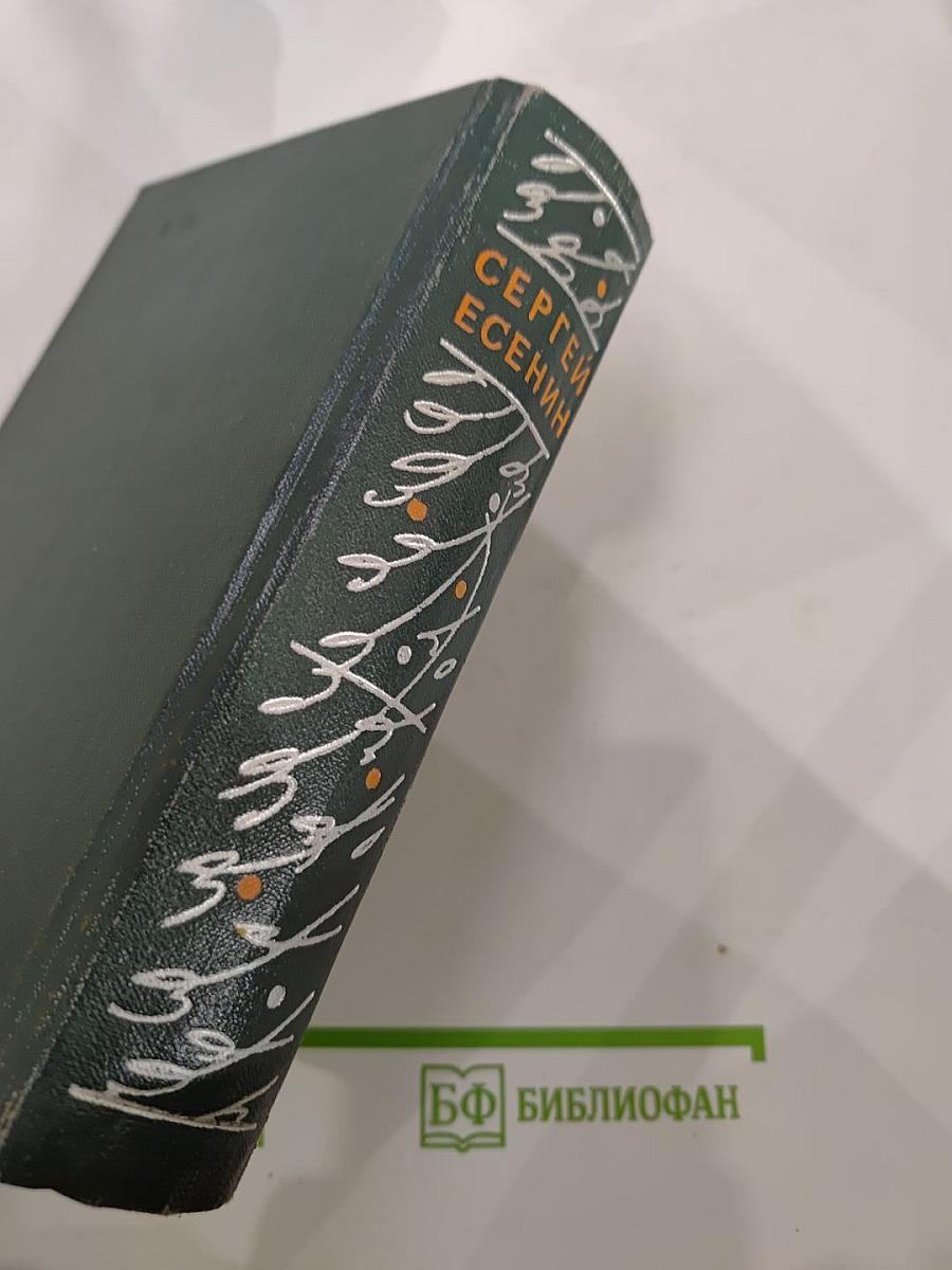 Словесных рек кипение и шорох: Стихи и поэмы