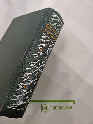 Словесных рек кипение и шорох: Стихи и поэмы