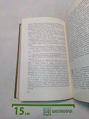 Меридианы карты и души