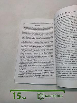 Медолечение. Лучшие рецепты народной аптеки