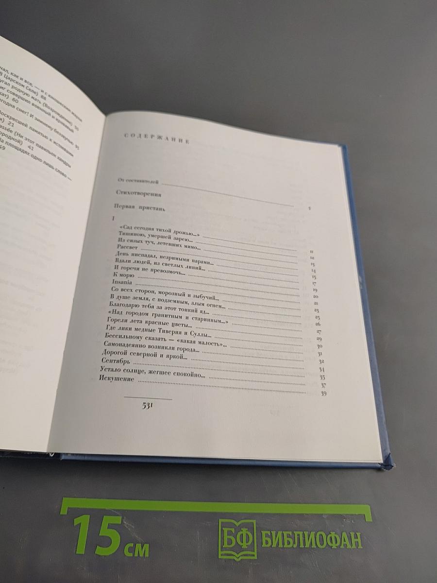 Василий Комаровский. Стихотворения. Проза. Письма. Материалы к биографии