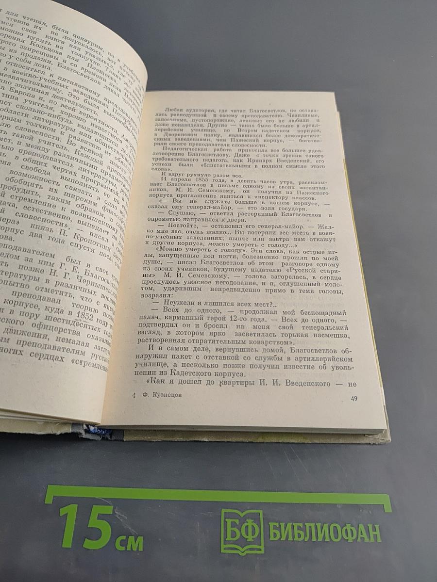 Публицисты 1860-х годов. Жизнь замечательных людей