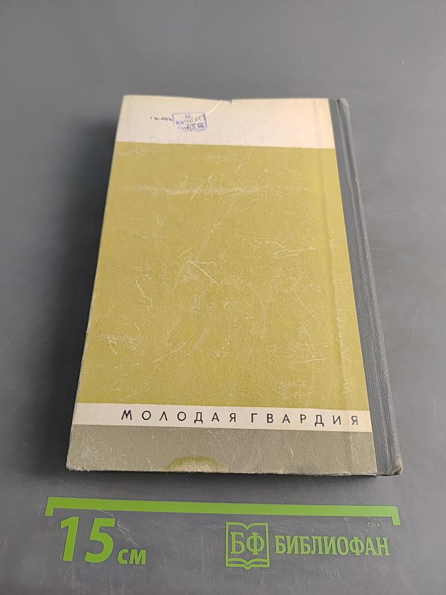 Публицисты 1860-х годов. Жизнь замечательных людей