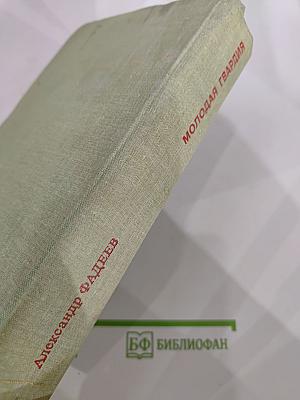 Молодая гвардия