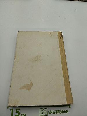 Иоланда: Дочь черного корсара. Город прокаженного короля