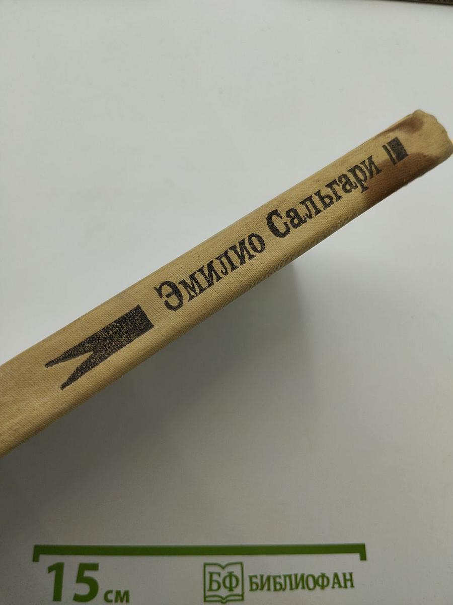 Иоланда: Дочь черного корсара. Город прокаженного короля