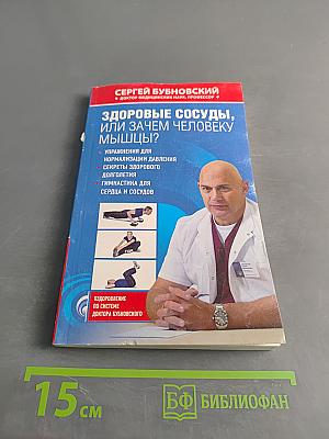 Здоровые сосуды, или Зачем человеку мышцы?