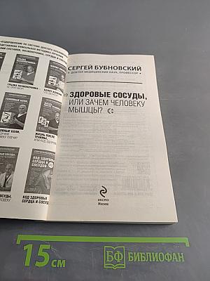 Здоровые сосуды, или Зачем человеку мышцы?